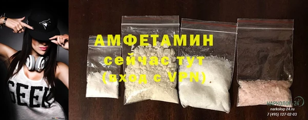 крисы Алексин