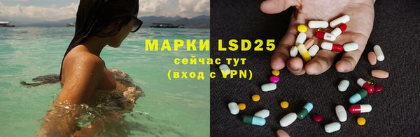 крисы Алексин