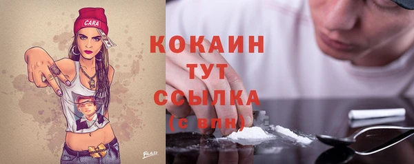 крисы Алексин