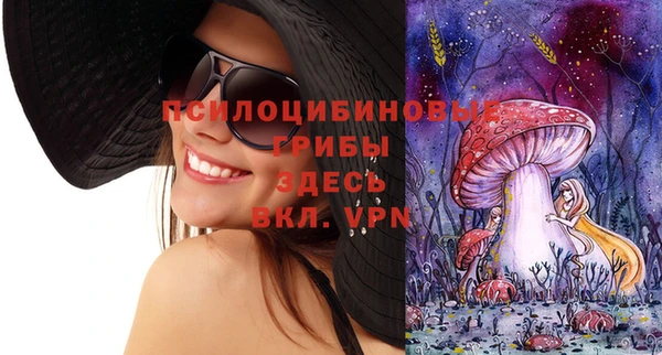 крисы Алексин