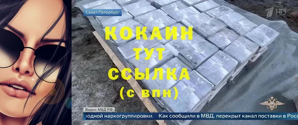 крисы Алексин